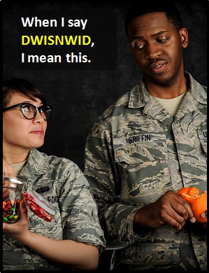 meaning of DWISNWID