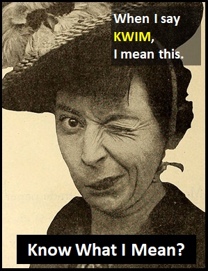 meaning of KWIM