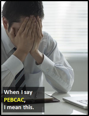 meaning of PEBCAC