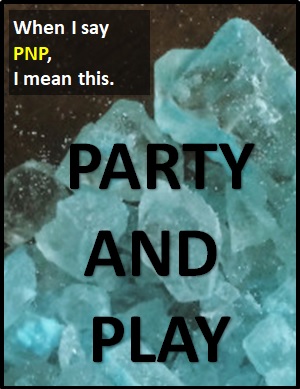 meaning of PNP
