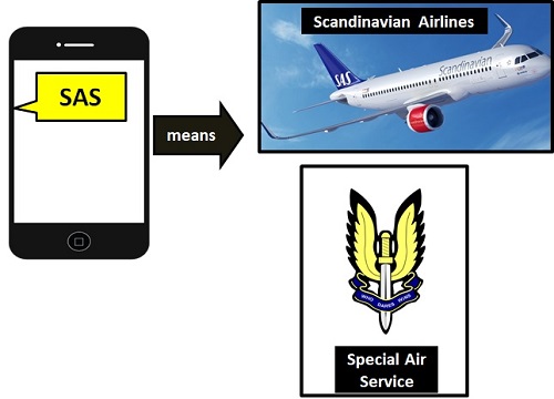 meaning of SAS