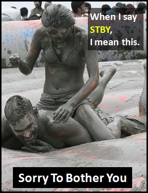meaning of STBY