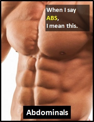 meaning of ABS