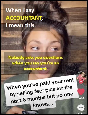 meaning of ACCOUNTANT