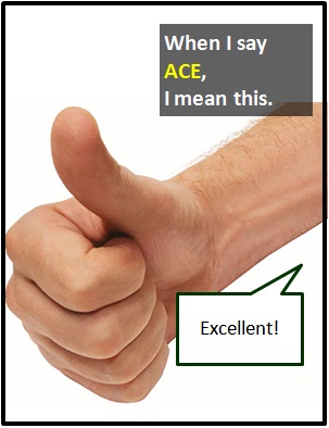 meaning of ACE