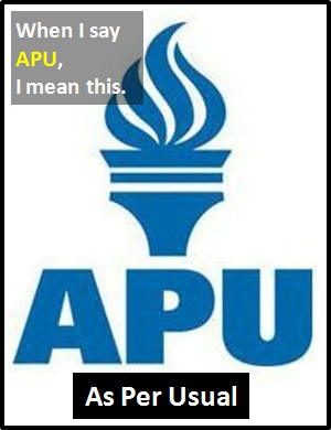 meaning of APU