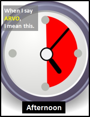 meaning of ARVO