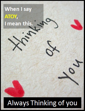 meaning of ATOY