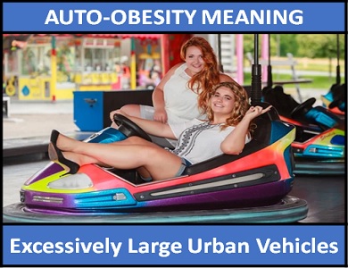 meaning of Auto-Obesity