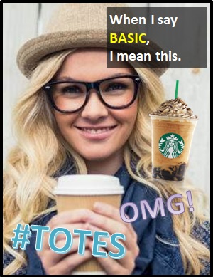 meaning of BASIC