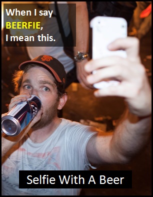 meaning of BEERFIE