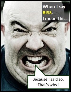 meaning of BISS