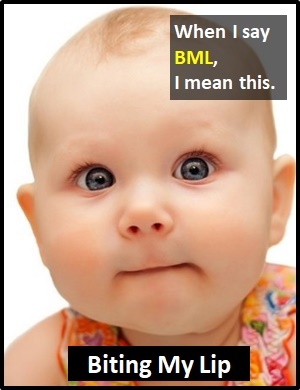 meaning of BML