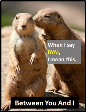 meaning of BYAI