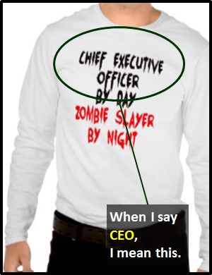 meaning of CEO