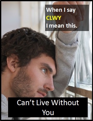 meaning of CLWY