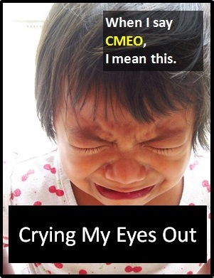 meaning of CMEO