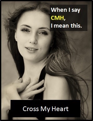 meaning of CMH
