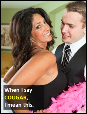 meaning of COUGAR