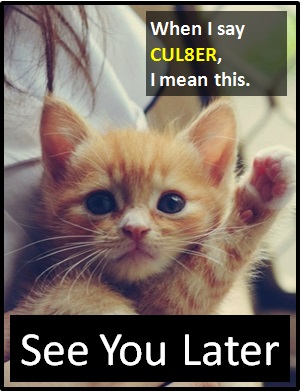 meaning of CUL8ER