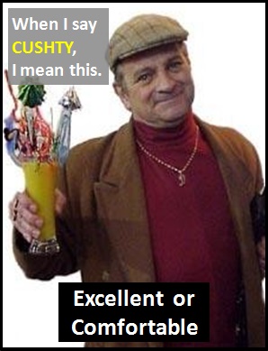 meaning of CUSHTY