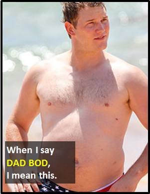 meaning of DAD BOD