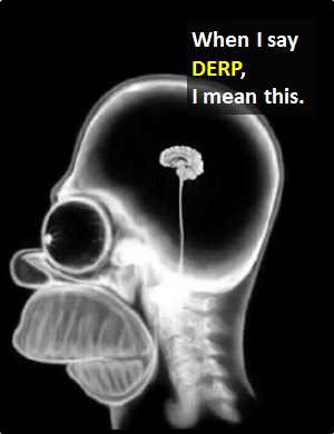 meaning of DERP