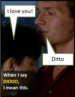 meaning of DIDDO
