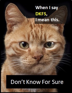 meaning of DKFS