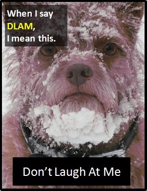 meaning of DLAM
