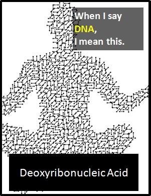 meaning of DNA