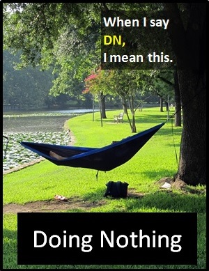 meaning of DN