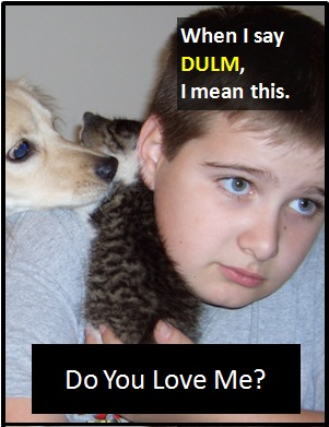 meaning of DULM