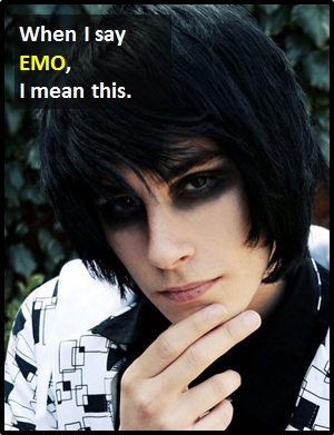 meaning of EMO