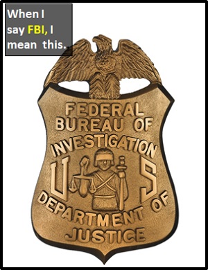 meaning of FBI
