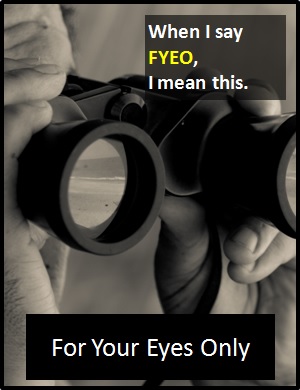 meaning of FYEO