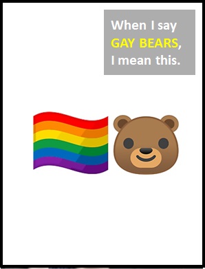 meaning of GAY_BEAR