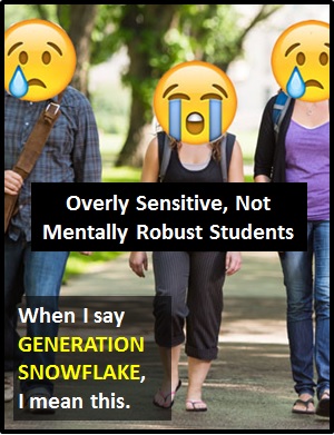 meaning of GENERATION SNOWFLAKE