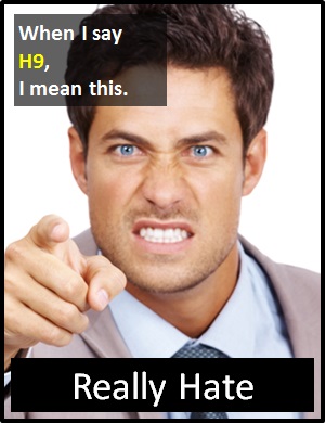 meaning of H9