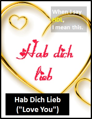 meaning of HDL