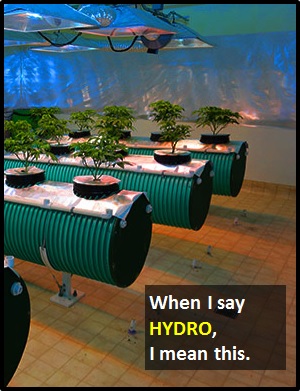 meaning of HYDRO