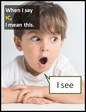 meaning of IC