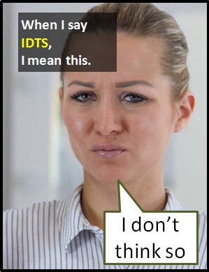 meaning of IDTS