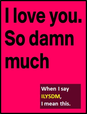 meaning of ILYSDM