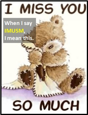 meaning of IMUSM