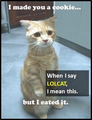meaning of LOLCAT