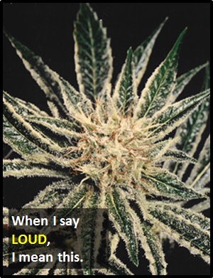meaning of LOUD
