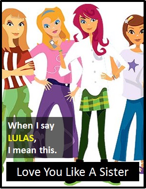 meaning of LULAS