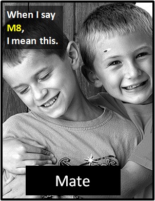 meaning of M8