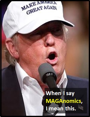 meaning of MAGAnomics